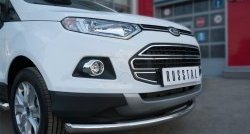 13 599 р. Одинарная защита переднего бампера диаметром 63 мм SLITKOFF  Ford EcoSport (2013-2019) дорестайлинг  с доставкой в г. Йошкар-Ола. Увеличить фотографию 2