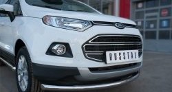 13 599 р. Одинарная защита переднего бампера диаметром 63 мм SLITKOFF  Ford EcoSport (2013-2019) дорестайлинг  с доставкой в г. Йошкар-Ола. Увеличить фотографию 3