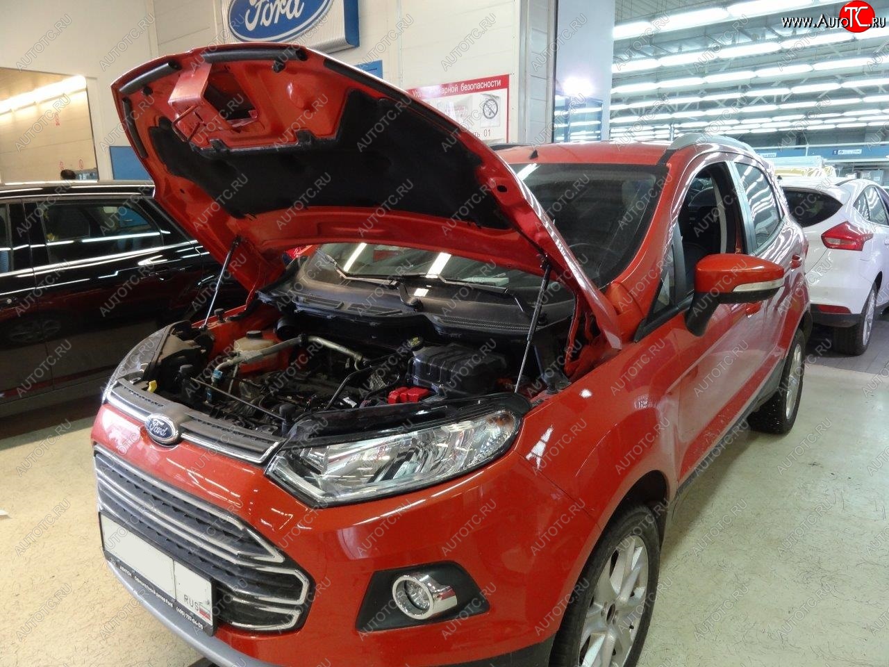 2 299 р. Упоры капота Russtal Ford EcoSport дорестайлинг (2013-2019)  с доставкой в г. Йошкар-Ола