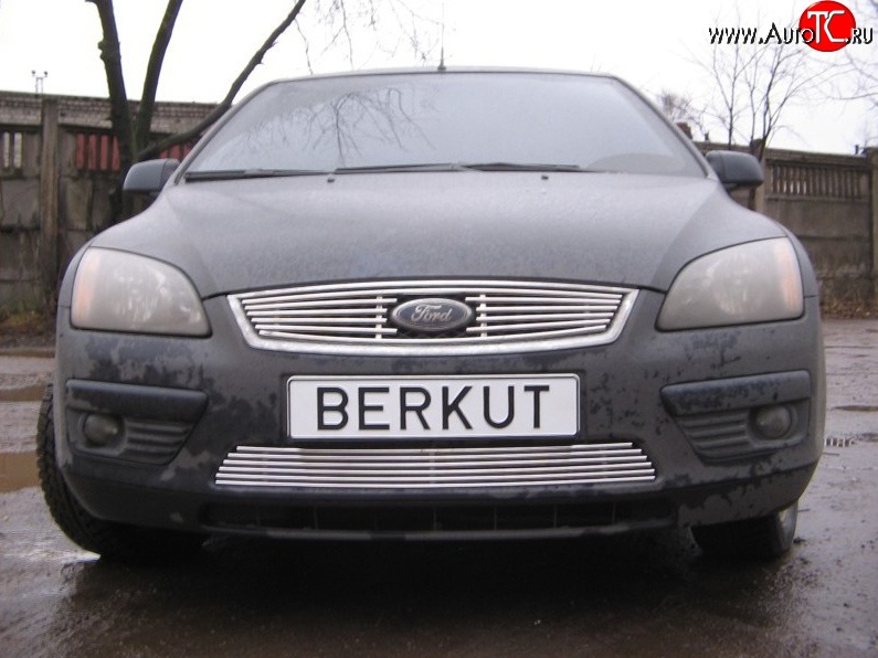 4 999 р. Декоративная вставка решетки радиатора Berkut Ford Focus 2  седан дорестайлинг (2004-2008)  с доставкой в г. Йошкар-Ола