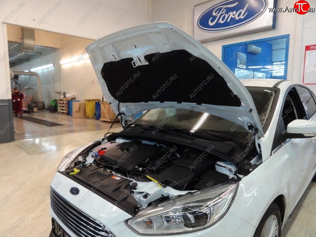 2 199 р. Газовые упоры капота Berkut Ford Focus 3 хэтчбэк дорестайлинг (2010-2015)  с доставкой в г. Йошкар-Ола