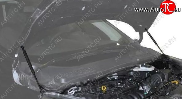 2 199 р. Газовые упоры капота Berkut Ford Kuga 2 рестайлинг (2016-2019)  с доставкой в г. Йошкар-Ола