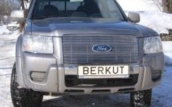 8 999 р. Декоративная вставка решетки радиатора (рестайлинг) Berkut  Ford Ranger (2006-2009) дорестайлинг  с доставкой в г. Йошкар-Ола. Увеличить фотографию 1