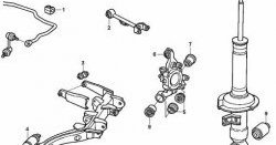 1 229 р. Полиуретановый сайлентблок ступицы задней подвески Точка Опоры Honda Odyssey 3 (2004-2008)  с доставкой в г. Йошкар-Ола. Увеличить фотографию 2