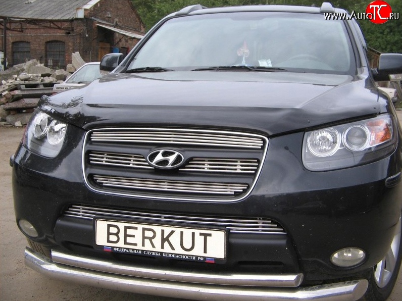 5 999 р. Декоративная вставка решетки радиатора Berkut Hyundai Santa Fe CM дорестайлинг (2006-2009)  с доставкой в г. Йошкар-Ола