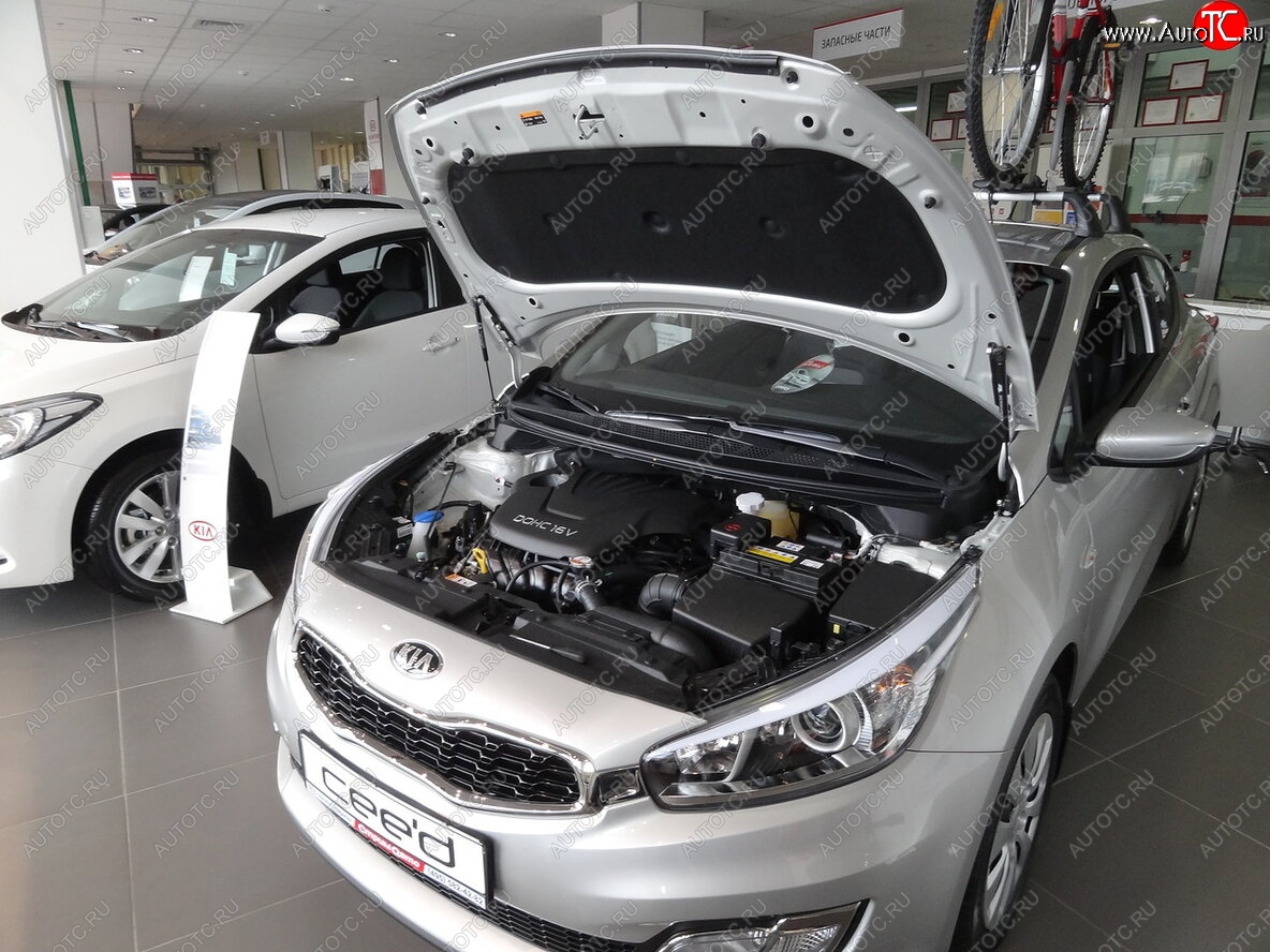 2 049 р. Упоры капота Russtal KIA Ceed 2 JD дорестайлинг универсал (2012-2016)  с доставкой в г. Йошкар-Ола