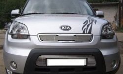 Декоративная вставка воздухозаборника Berkut KIA Soul AM дорестайлинг (2008-2011)