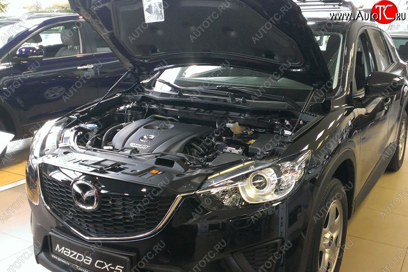 2 199 р. Газовые упоры капота Berkut Mazda CX-5 KE дорестайлинг (2011-2014)  с доставкой в г. Йошкар-Ола