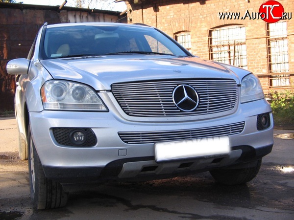 9 399 р. Декоративная вставка решетки радиатора Berkut Mercedes-Benz ML class W164 дорестайлинг (2005-2008)  с доставкой в г. Йошкар-Ола