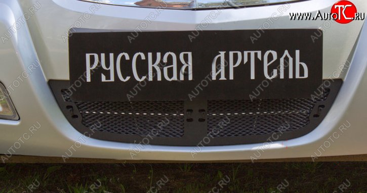 1 539 р. Защитная сетка решетки переднего бампера РА  Nissan Almera Classic  седан (2006-2013) B10  с доставкой в г. Йошкар-Ола