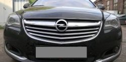 Сетка на бампер (рестайлинг) Russtal (черная) Opel Insignia A универсал рестайлинг (2013-2017)