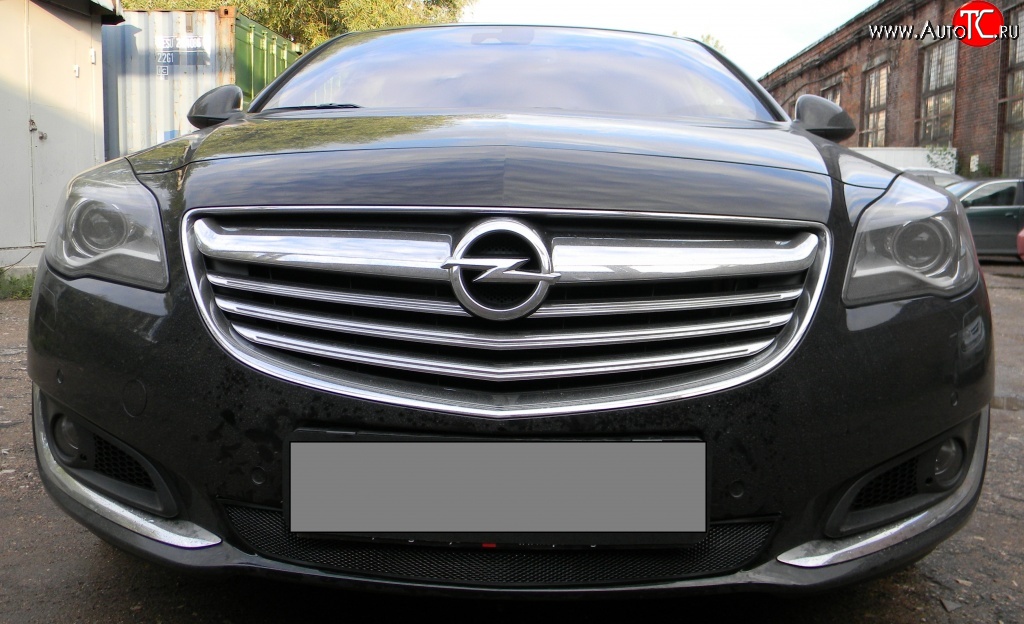 1 469 р. Сетка на бампер (рестайлинг) Russtal (черная) Opel Insignia A универсал рестайлинг (2013-2017)  с доставкой в г. Йошкар-Ола