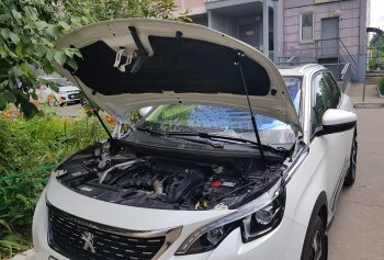 2 799 р. Упоры капота Russtal  Peugeot 3008  2 (2016-2025)  с доставкой в г. Йошкар-Ола. Увеличить фотографию 1