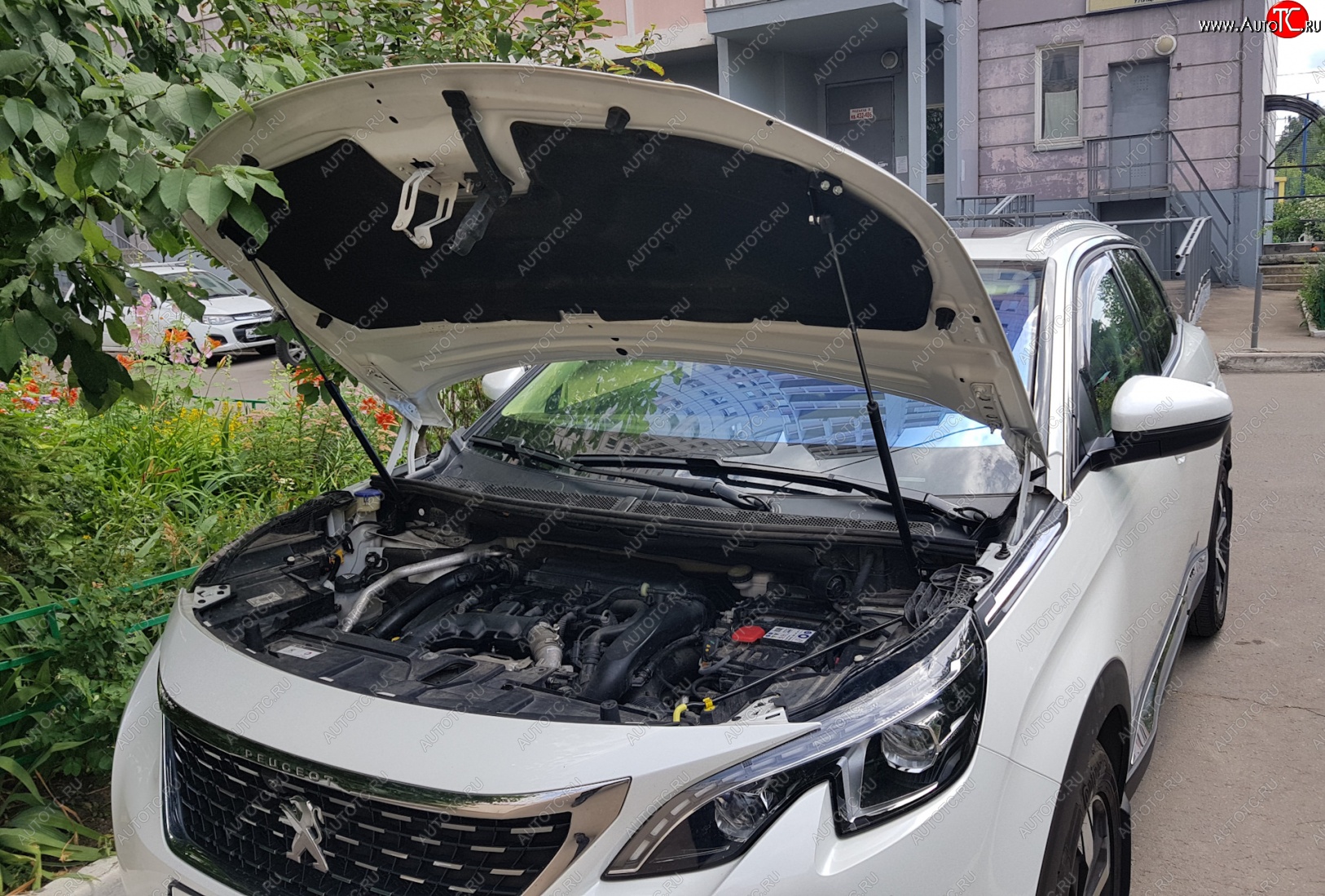 2 799 р. Упоры капота Russtal Peugeot 3008 2 (2016-2024)  с доставкой в г. Йошкар-Ола