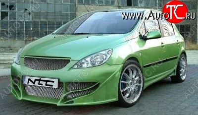 24 499 р. Передний бампер NTC Peugeot 307 универсал дорестайлинг (2001-2005)  с доставкой в г. Йошкар-Ола