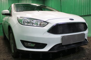 2 879 р. Защитная сетка в бампер (низ, ячейка 3х7 мм) Alfeco Стандарт Ford Focus 3 седан рестайлинг (2014-2019) (Чёрная)  с доставкой в г. Йошкар-Ола. Увеличить фотографию 2