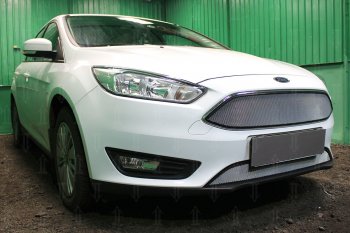 3 499 р. Защитная сетка в бампер (низ, ячейка 3х7 мм) Alfeco Стандарт  Ford Focus  3 (2014-2019) седан рестайлинг, универсал рестайлинг, хэтчбэк рестайлинг (Хром)  с доставкой в г. Йошкар-Ола. Увеличить фотографию 2