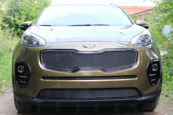 Защитная сетка в бампер (низ, ячейка 3х7 мм) Alfeco Стандарт KIA (КИА) Sportage (Спортаж)  4 QL (2016-2018) 4 QL дорестайлинг ()