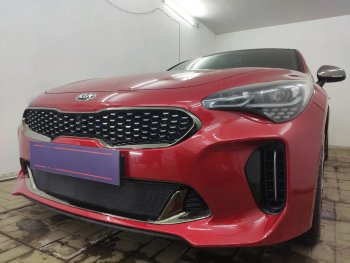 3 899 р. Защитная сетка в бампер (низ, ячейка 3х7 мм) Alfeco Стандарт  KIA Stinger (2017-2025) (Чёрная)  с доставкой в г. Йошкар-Ола. Увеличить фотографию 4