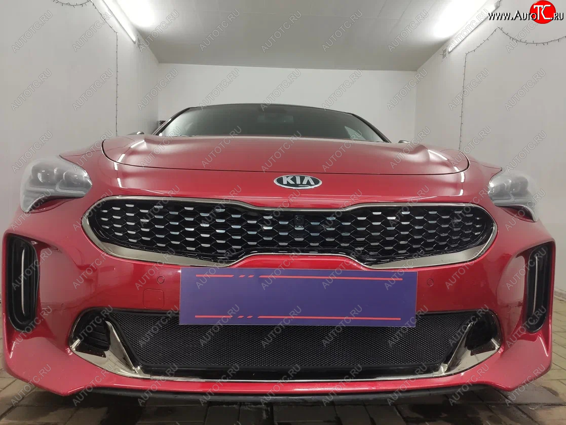 3 899 р. Защитная сетка в бампер (низ, ячейка 3х7 мм) Alfeco Стандарт  KIA Stinger (2017-2025) (Чёрная)  с доставкой в г. Йошкар-Ола