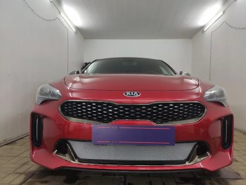 Защитная сетка в бампер (низ, ячейка 3х7 мм) Alfeco Стандарт KIA (КИА) Stinger (Стингер) (2017-2025) ()