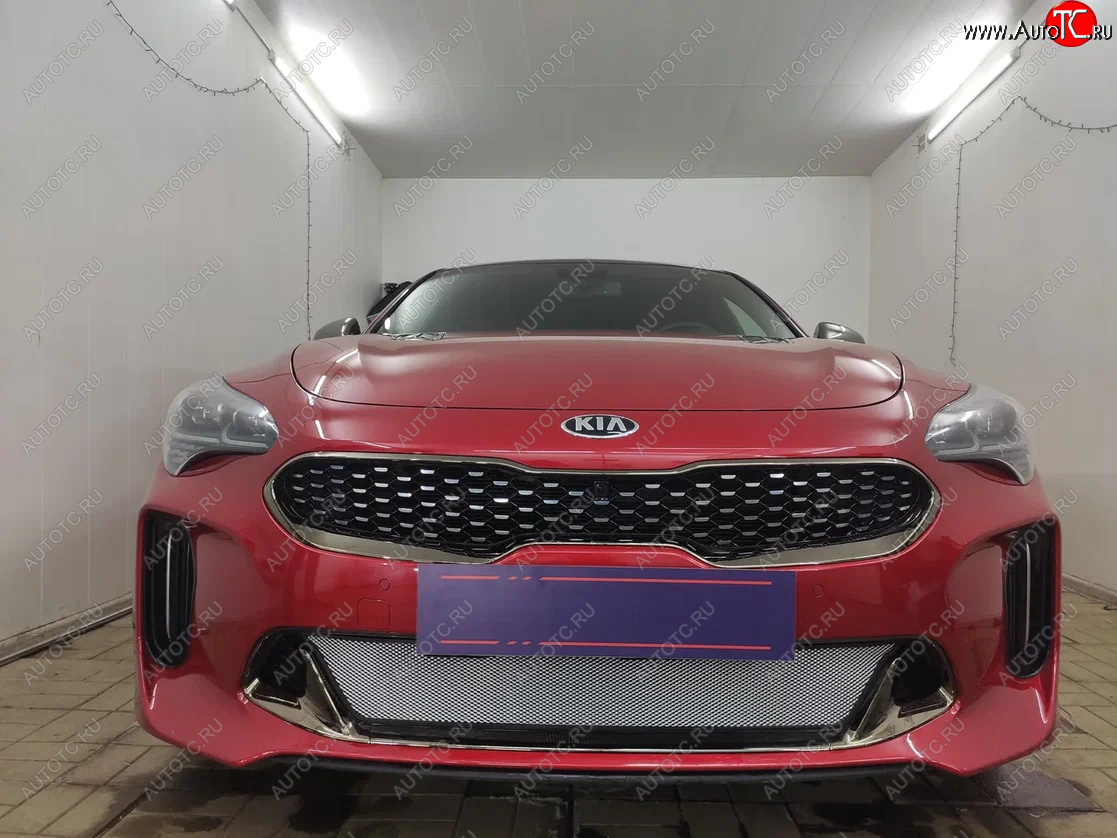 3 999 р. Защитная сетка в бампер (низ, ячейка 3х7 мм) Alfeco Стандарт  KIA Stinger (2017-2025) (Хром)  с доставкой в г. Йошкар-Ола