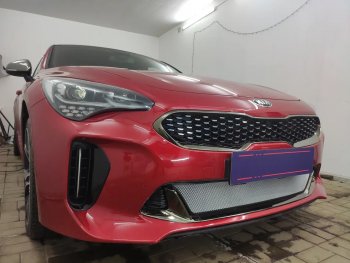 3 999 р. Защитная сетка в бампер (низ, ячейка 3х7 мм) Alfeco Стандарт  KIA Stinger (2017-2025) (Хром)  с доставкой в г. Йошкар-Ола. Увеличить фотографию 3