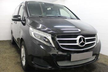 3 899 р. Защитная сетка в бампер (низ, ячейка 3х7 мм) Alfeco Стандарт  Mercedes-Benz Vito  W447 (2015-2020) дорестайлинг (Хром)  с доставкой в г. Йошкар-Ола. Увеличить фотографию 2