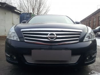 Защитная сетка в бампер (низ, ячейка 4х10 мм) Стрелка11 Премиум Nissan Teana 2 J32 рестайлинг (2011-2014) ()