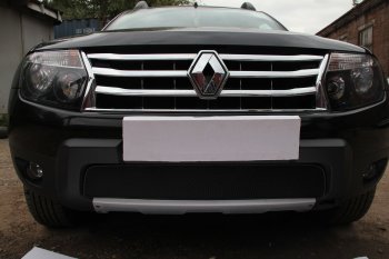 Защитная сетка в бампер (низ, ячейка 4х10 мм) Стрелка11 Премиум Renault Duster HS дорестайлинг (2010-2015) ()