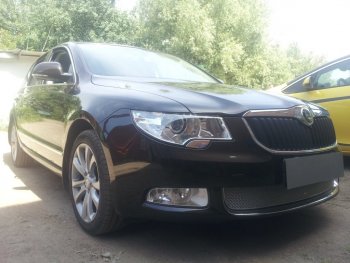 4 299 р. Защитная сетка в бампер (низ, ячейка 4х10 мм) Стрелка11 Премиум Skoda Superb B6 (3T) лифтбэк дорестайлинг (2008-2013) (Хром)  с доставкой в г. Йошкар-Ола. Увеличить фотографию 2