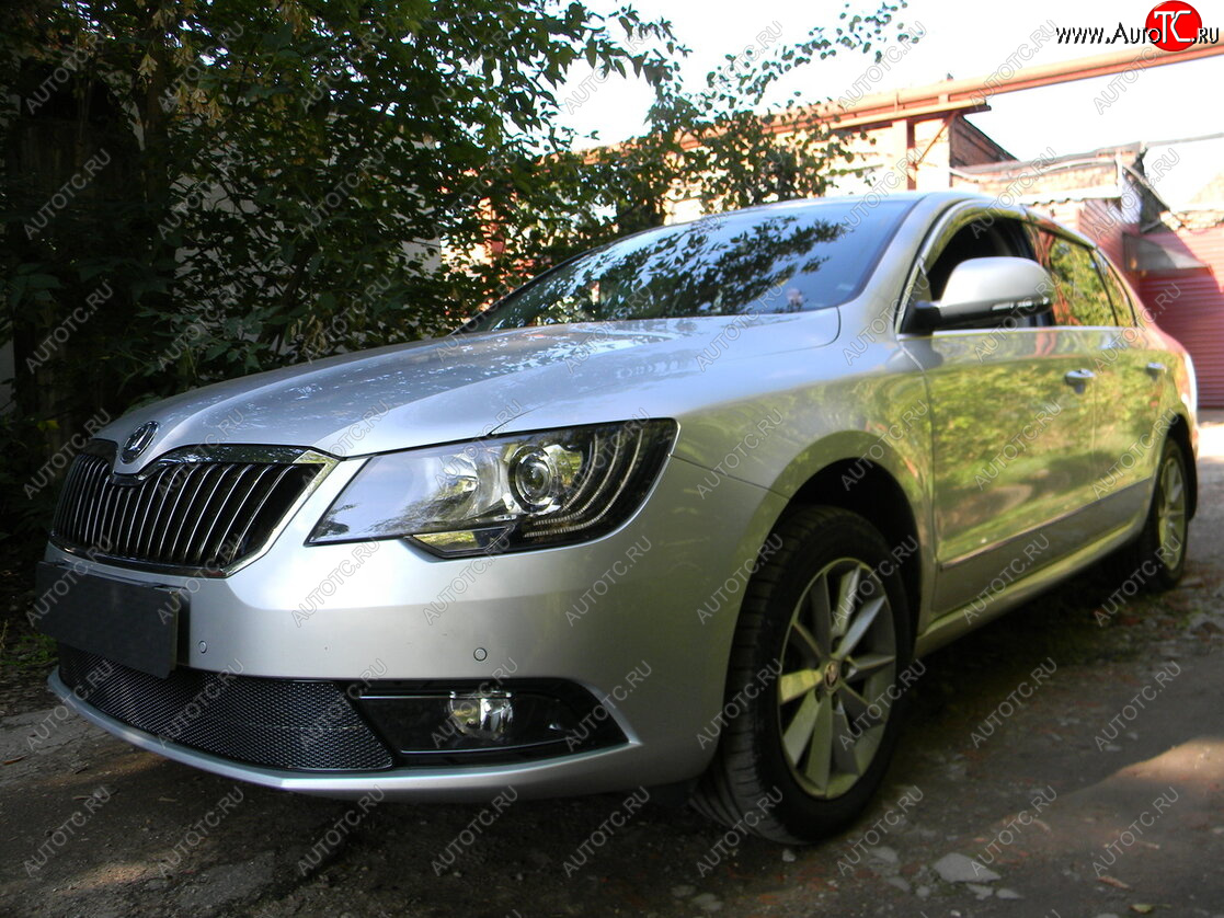 4 599 р. Защитная сетка в бампер (низ, ячейка 4х10 мм) Стрелка11 Премиум Skoda Superb B6 (3T5) универсал рестайлинг (2013-2015) (Чёрная)  с доставкой в г. Йошкар-Ола