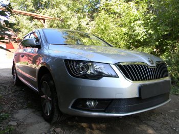 4 599 р. Защитная сетка в бампер (низ, ячейка 4х10 мм) Стрелка11 Премиум Skoda Superb B6 (3T5) универсал рестайлинг (2013-2015) (Чёрная)  с доставкой в г. Йошкар-Ола. Увеличить фотографию 3