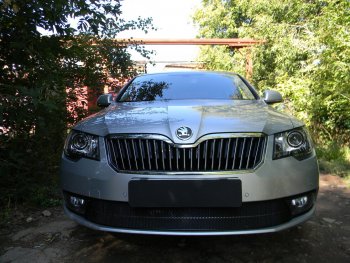 4 599 р. Защитная сетка в бампер (низ, ячейка 4х10 мм) Стрелка11 Премиум Skoda Superb B6 (3T5) универсал рестайлинг (2013-2015) (Чёрная)  с доставкой в г. Йошкар-Ола. Увеличить фотографию 2