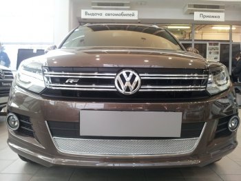 Защитная сетка в бампер (низ, ячейка 4х10 мм) Стрелка11 Премиум Volkswagen Tiguan NF рестайлинг (2011-2017) ()