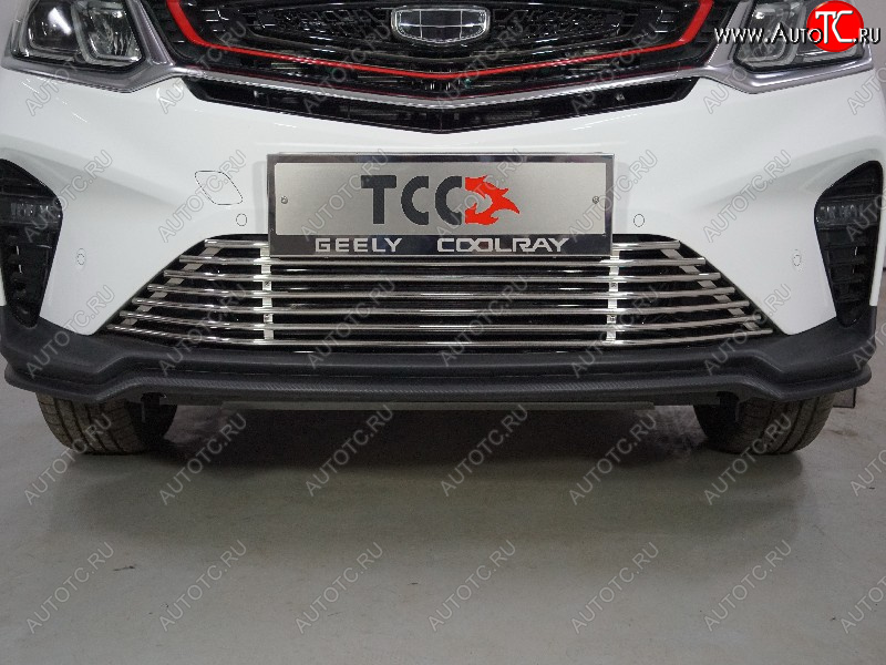 12 749 р. Декоративная вставка в бампер ТСС Тюнинг  Geely Coolray  SX11 (2018-2025) дорестайлинг, рестайлинг (d 12 мм)  с доставкой в г. Йошкар-Ола