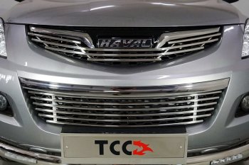 Нижняя декоративная вставка в бампер ТСС Тюнинг Haval H5 рестайлинг (2020-2023) ()