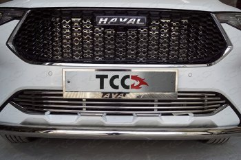 Нижняя декоративная вставка в бампер ТСС Тюнинг Haval F7  дорестайлинг (2018-2022) ()