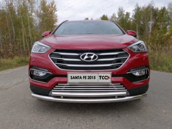 Декоративная вставка переднего бампера (Premium) ТСС Тюнинг Hyundai (Хюндаи) Santa Fe (Санта)  DM (2015-2019) DM рестайлинг ()