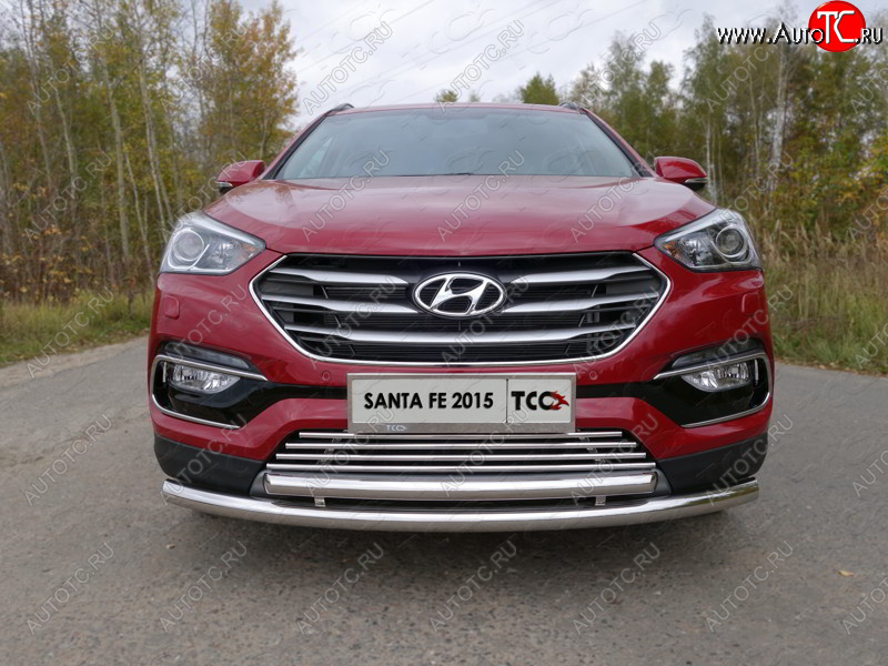 9 349 р. Декоративная вставка переднего бампера (Premium) ТСС Тюнинг  Hyundai Santa Fe  DM (2015-2019) рестайлинг (d 16 мм)  с доставкой в г. Йошкар-Ола