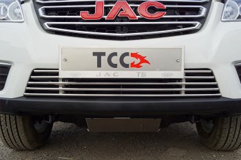 Декоративная вставка переднего бампера ТСС Тюнинг JAC (Джак) T6 (т) (2018-2024) пикап ()