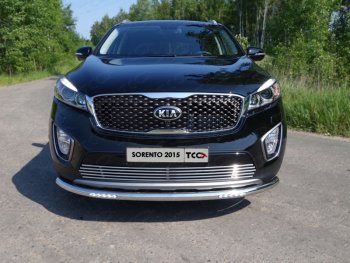 Декоративная вставка переднего бампера ТСС Тюнинг KIA (КИА) Sorento (соренто)  UM/Prime (2014-2018) UM/Prime дорестайлинг ()