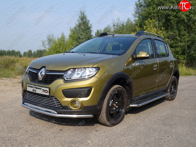 12 299 р. Защита переднего бампера нижняя d42,4 мм ТСС Тюнинг  Renault Sandero Stepway  (B8) (2014-2018) дорестайлинг (нержавейка)  с доставкой в г. Йошкар-Ола