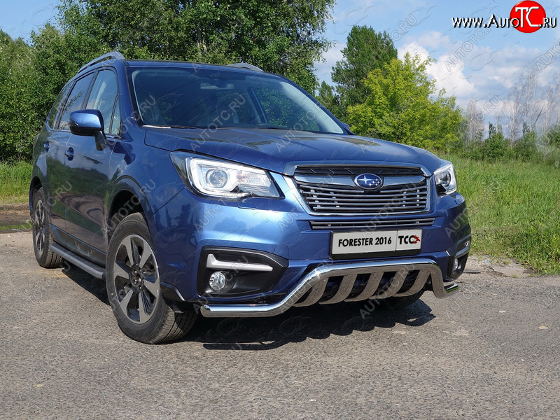 9 349 р. Верхняя декоративная вставка решетки радиатора ТСС Тюнинг  Subaru Forester  SJ (2016-2019) рестайлинг (d 12 мм)  с доставкой в г. Йошкар-Ола