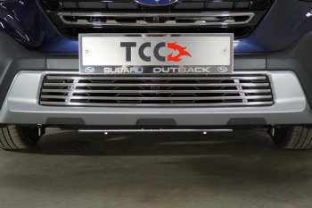 Декоративная вставка переднего бампера ТСС Тюнинг Subaru (Субару) Outback (Аутбэк)  BT (2019-2025) BT универсал ()