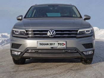 Декоративная вставка переднего бампера (без парктроников) ТСС Тюнинг Volkswagen (Волксваген) Tiguan (Тигуан)  Mk2 (2016-2020) Mk2 дорестайлинг