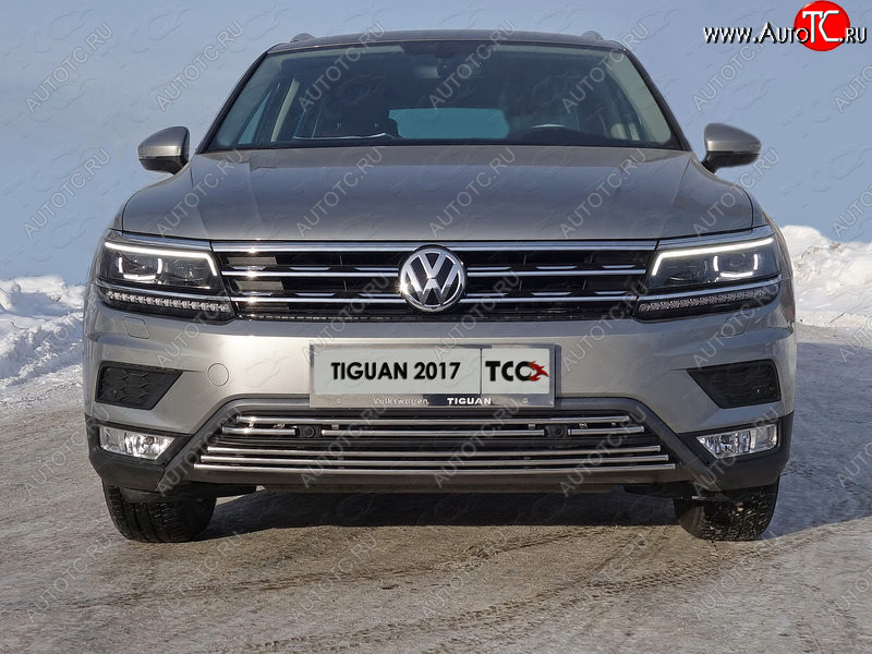 7 699 р. Нижняя декоративная вставка в бампер (пакет Offroad) ТСС Тюнинг Volkswagen Tiguan Mk2 дорестайлинг (2016-2020) (d 16 мм)  с доставкой в г. Йошкар-Ола