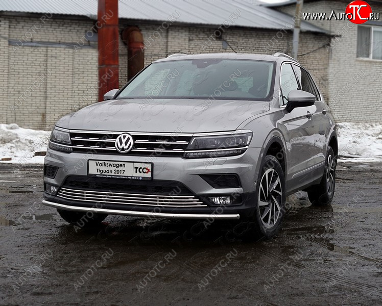 17 699 р. Защита переднего бампера нижняя d42,4 мм ТСС Тюнинг  Volkswagen Tiguan  Mk2 (2016-2020) дорестайлинг (нержавейка)  с доставкой в г. Йошкар-Ола