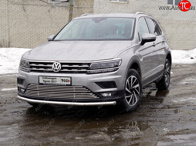 18 449 р. Защита переднего бампера нижняя d60,3 мм ТСС Тюнинг  Volkswagen Tiguan  Mk2 (2016-2020) дорестайлинг (нержавейка)  с доставкой в г. Йошкар-Ола