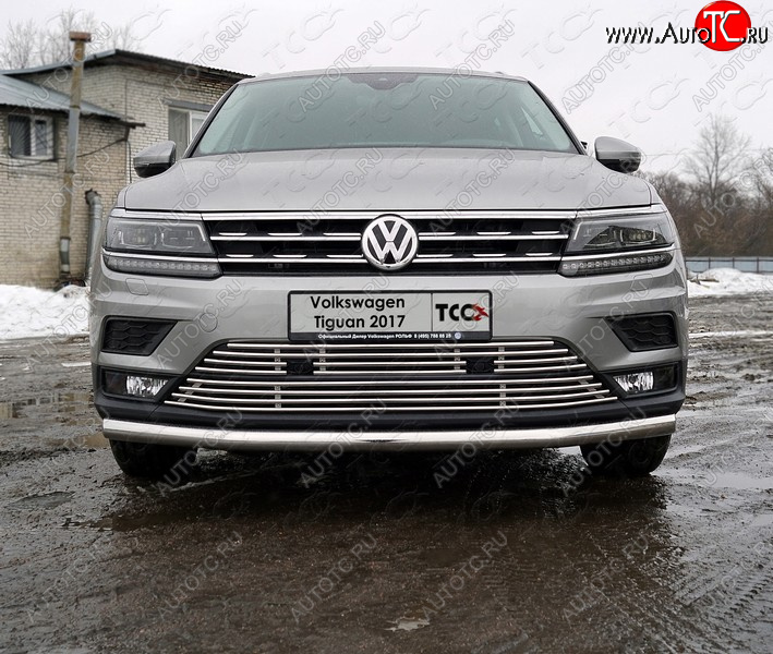 6 499 р. Верхняя декоративная вставка решетки радиатора ТСС Тюнинг  Volkswagen Tiguan  Mk2 (2016-2020) дорестайлинг (d 12 мм)  с доставкой в г. Йошкар-Ола